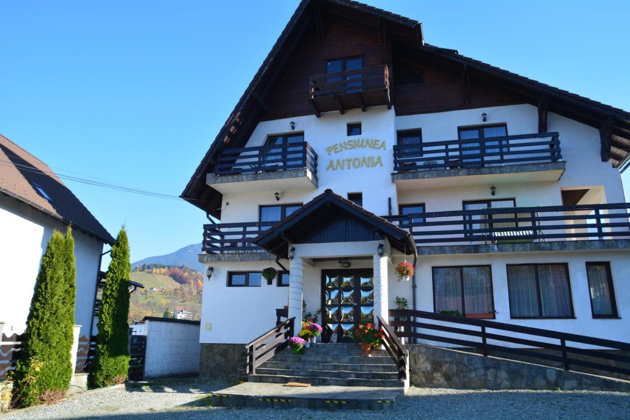 Pensiunea Antonia Bran  Exterior foto