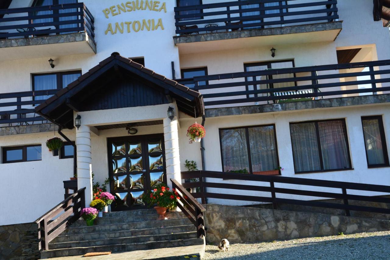 Pensiunea Antonia Bran  Exterior foto